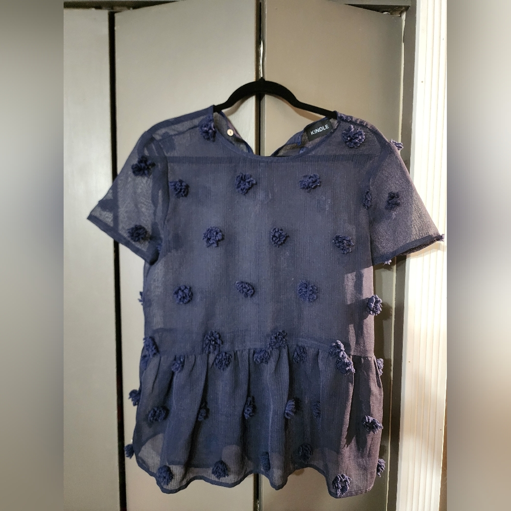 Blue Babydoll Sheer Top with Short Sleeves and Crew Neck